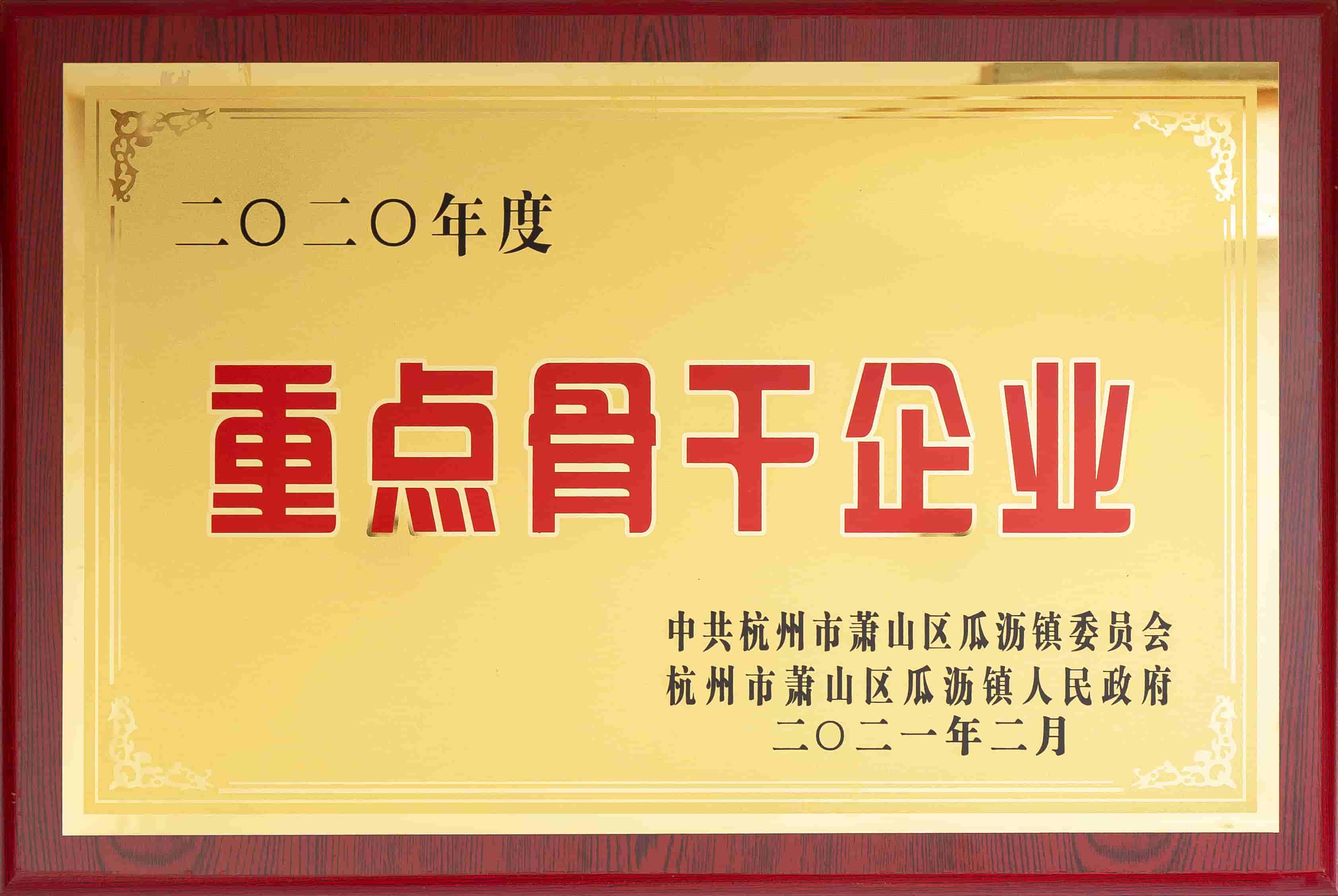 مؤسسة العمود الفقري الرئيسية